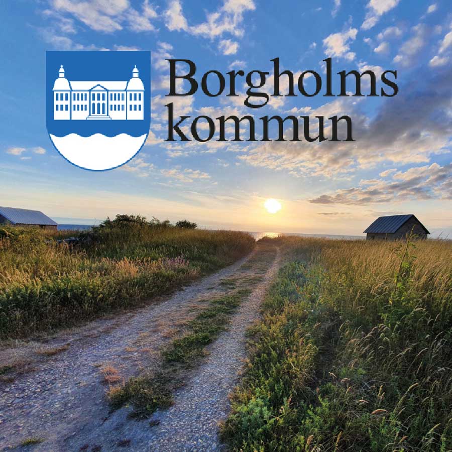 Partner BORGHOLMS KOMMUN